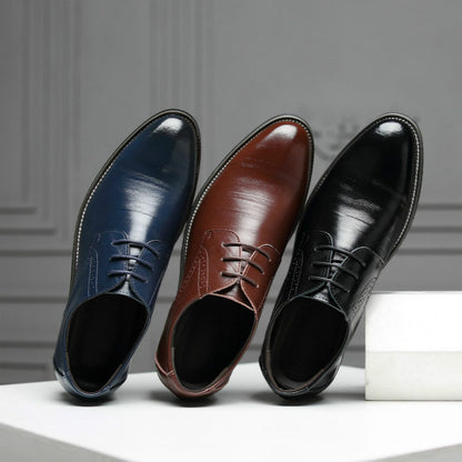 Sernano Genuine Leather Oxford Shoe